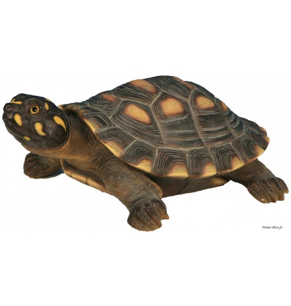 Tortue de Floride, décoration extérieure, figurine, pas cher, Penser-Déco.fr