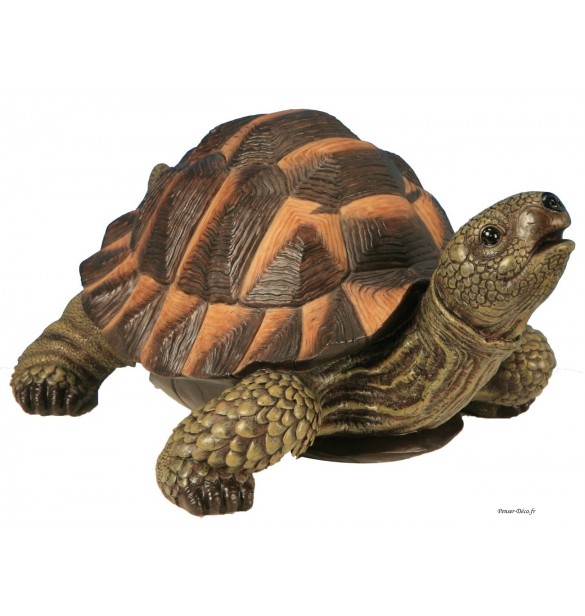 Tortue verte, décoration extérieure, figurine, pas cher, penser-deco.fr