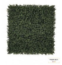 Mur végétal artificiel Buxus, Boj