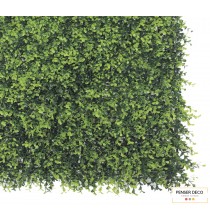 Mur végétal artificiel Buxus, Boj