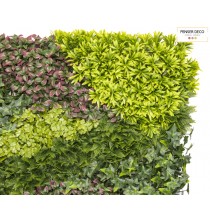 Mur végétal artificiel Costa, Plantes européenne