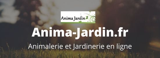 Anima Jardin