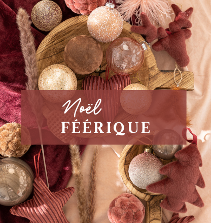 Un Noël Féérique